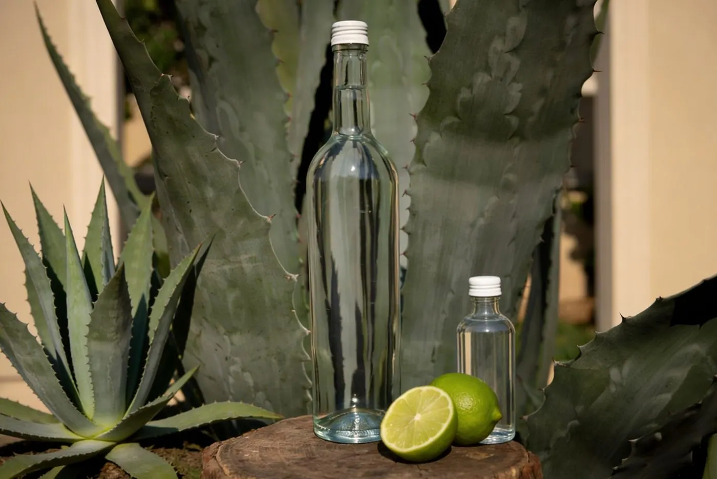 ESGARI tequila logistics
